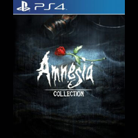 Amnesia: Collection